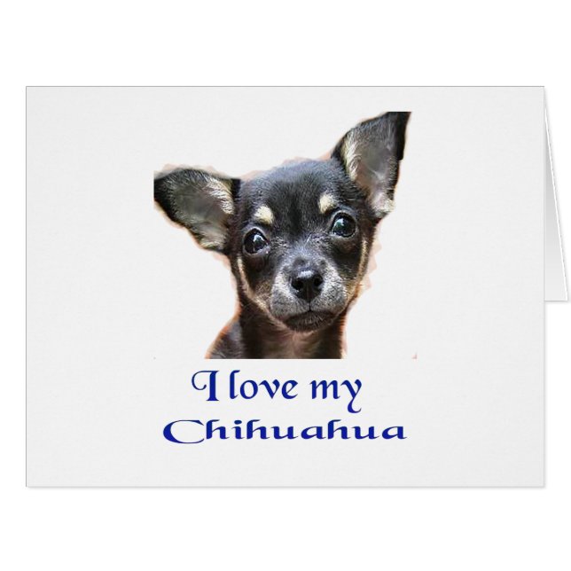 Chihuahua (Front Horizontal)
