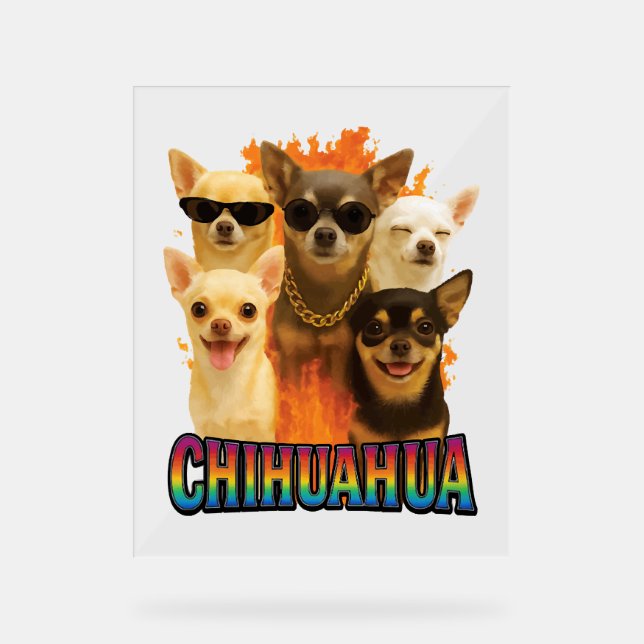 Chihuahua    (Recto)
