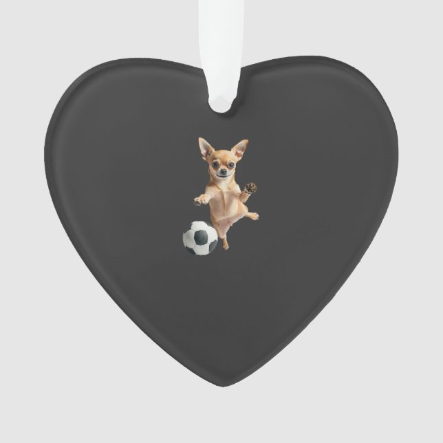 Chihuahua  (devant)