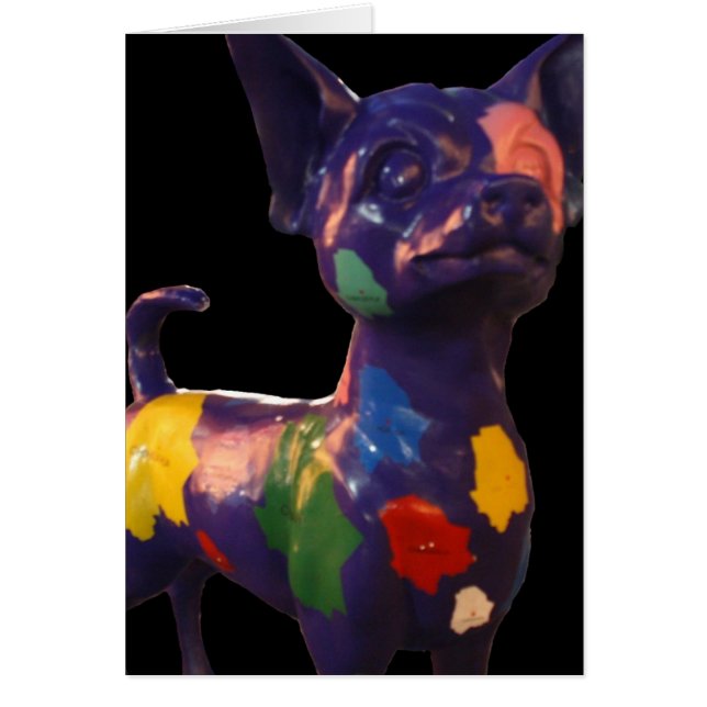 chihuahua (Front)