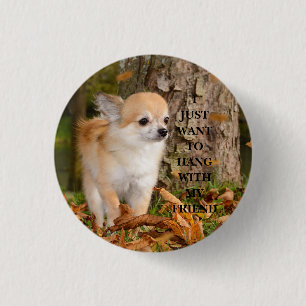 Chihuahua    1 inch round button