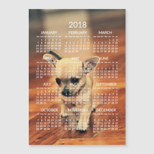 Chihuahua 2018 Calendar Photo Magnetic Card 5x7