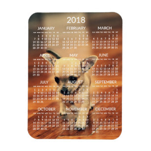 Chihuahua 2018 Calendrier Magnet photo 3x4 petit