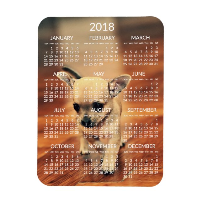 Chihuahua 2018 Calendrier Magnet photo 3x4 petit (Vertical)