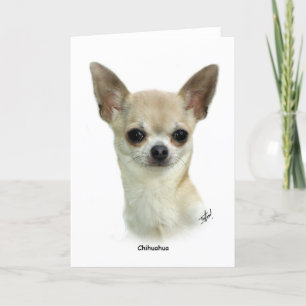 Chihuahua 9P93D-123_2 Card