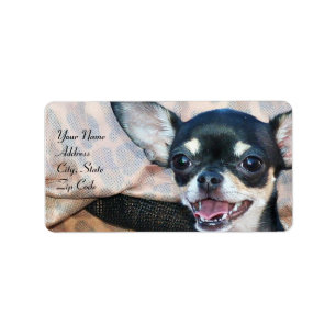 Chihuahua address labels