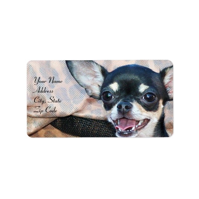 Chihuahua address labels (Front)
