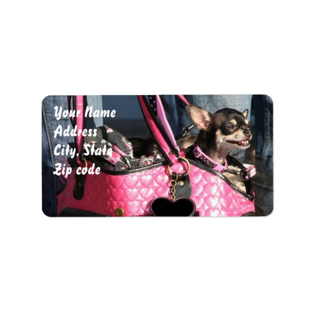 Chihuahua Address Labels (Front)