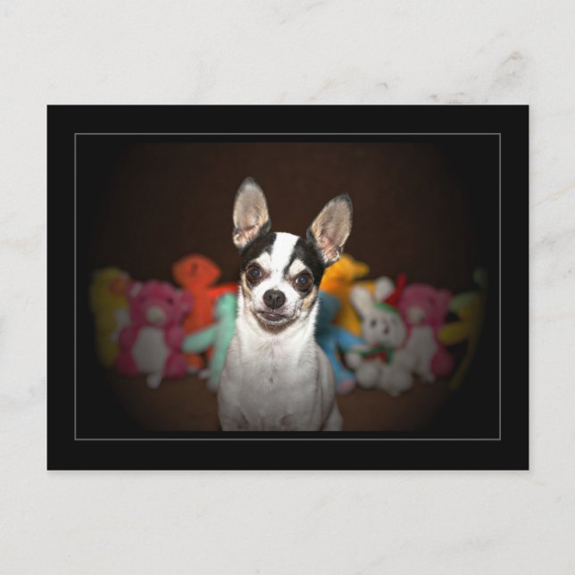 Chihuahua and toys postcard (Front)
