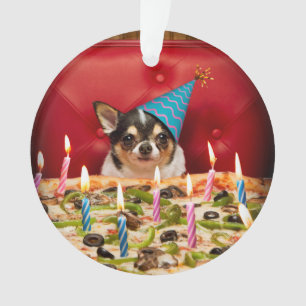 Chihuahua Anniversaire Pizza Pie