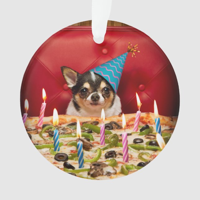Chihuahua Anniversaire Pizza Pie (devant)