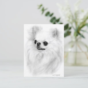 Chihuahua Beauty Painted by Hand Artwork Postcard