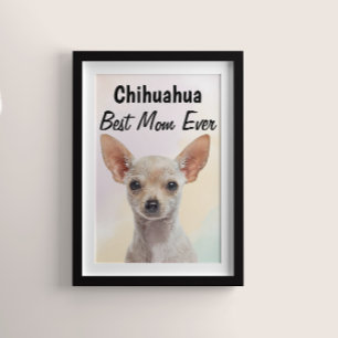 Chihuahua Best Mom Poster