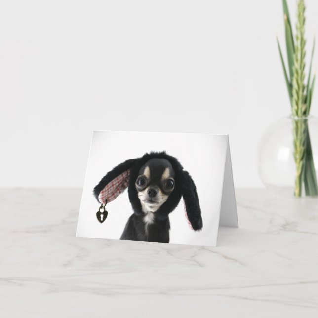 Chihuahua Big Eyed Avec Carte Oreilles Bunny (Devant)