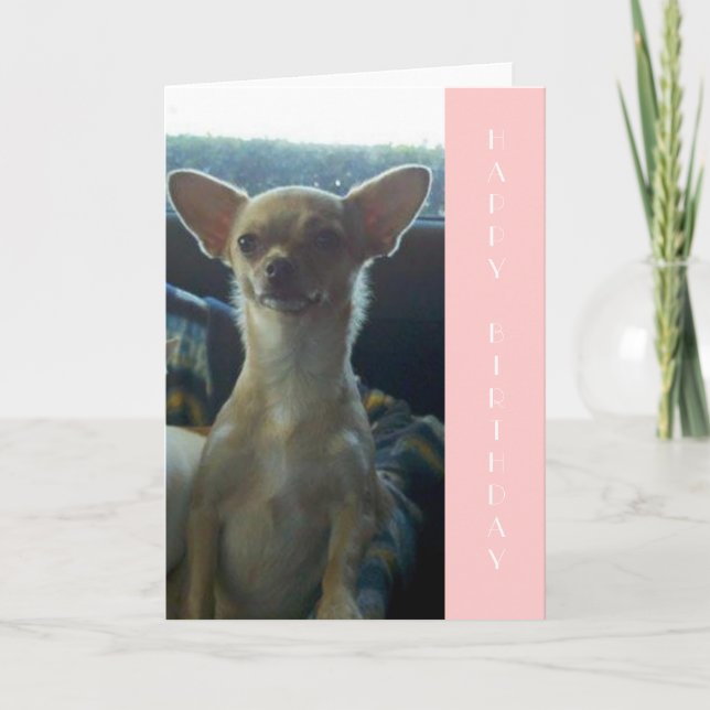 Chihuahua Birthday Card (Front)