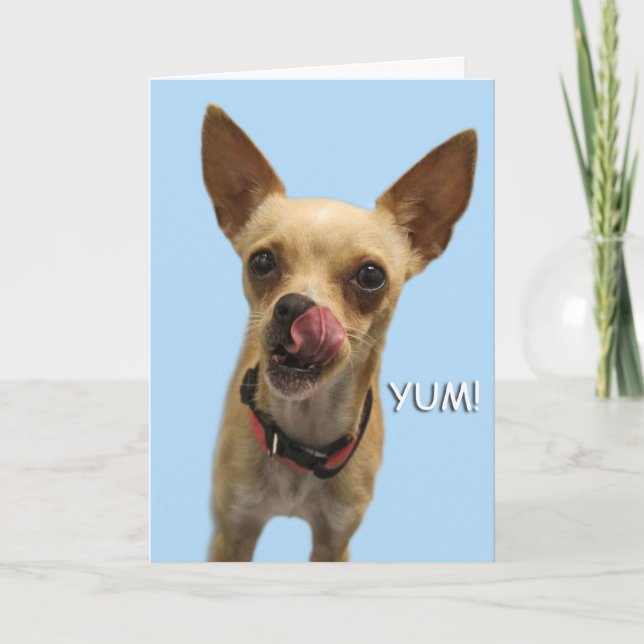 Chihuahua Birthday Card by Focus for a Cause (Front)