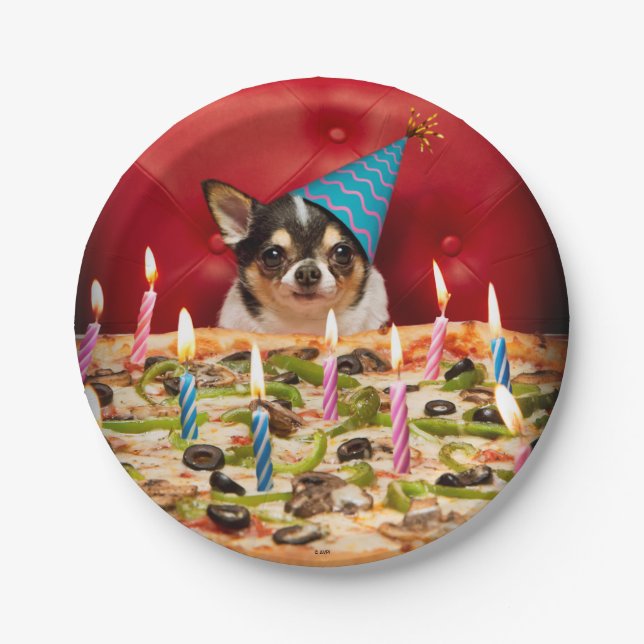 Chihuahua Birthday Pizza Pie Paper Plate (Front)