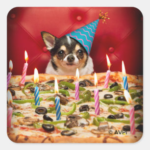 Chihuahua Birthday Pizza Pie Square Sticker