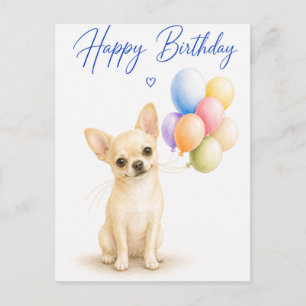 Chihuahua Birthday Postcard