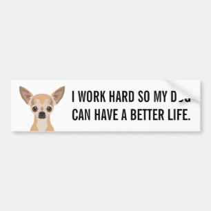 Chihuahua Bumper Sticker