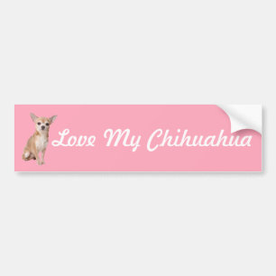 Chihuahua Bumper Sticker