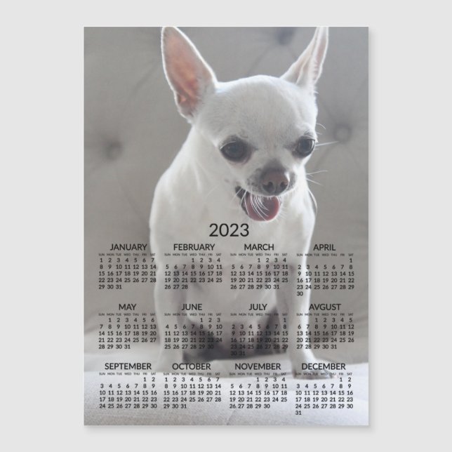 Chihuahua Calendar 2023 Magnetic Photo Card (Front)