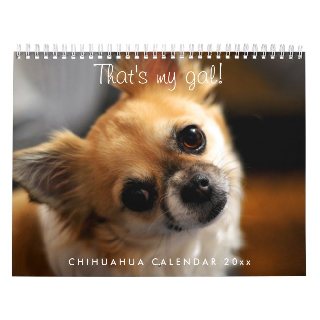 Chihuahua Calendar 2023 That's My Gal (Cover)