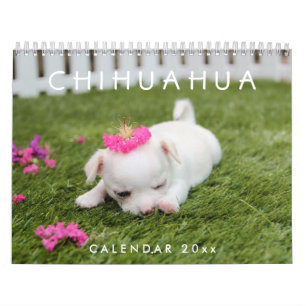 Chihuahua Calendar 2025 Add Your Photos