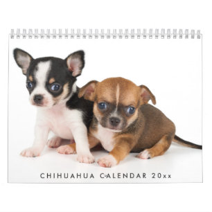 Chihuahua Calendar 2025 Add Your Photos