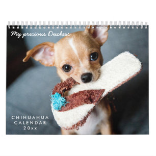 Chihuahua Calendar 2025 Your Custom Photos