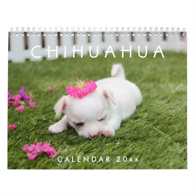 Chihuahua Calendar 2026 Add Your Photos (Cover)