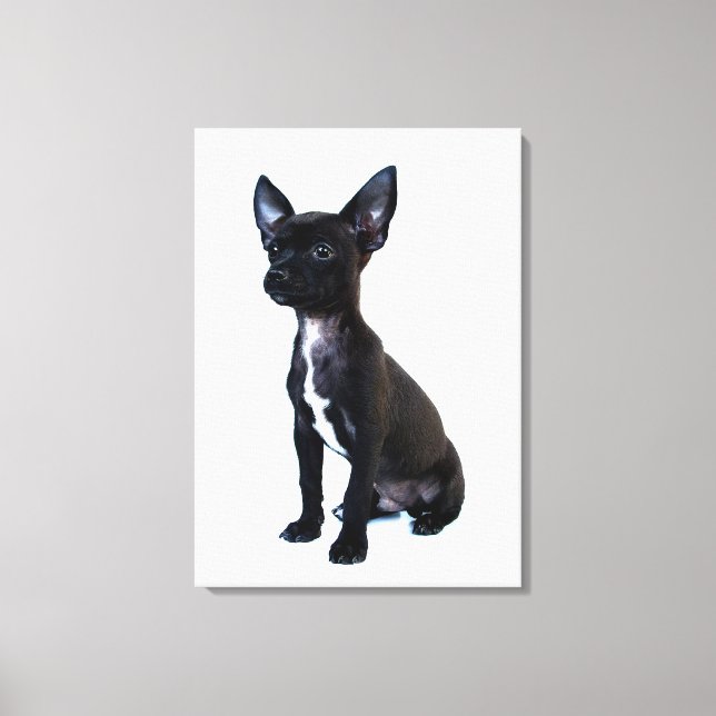 Chihuahua Canvas Print (Front)