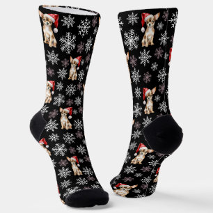 Chihuahua Chi Dog in Santa Hat Black Socks