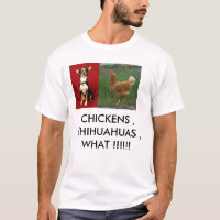 chihuahua, chicken, CHICKENS , CHIHUAHUAS , WHA...
