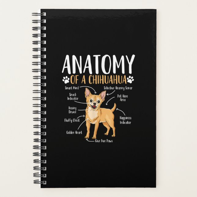 Chihuahua Chien anatomie (Devant)