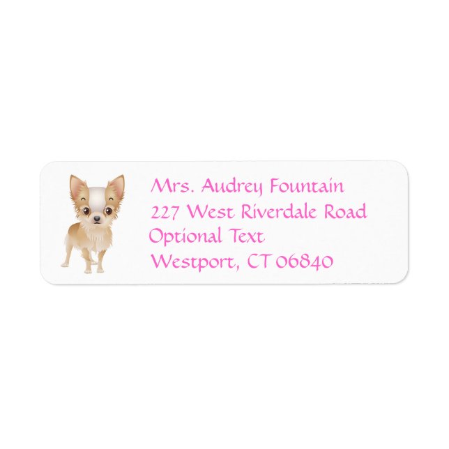 Chihuahua Chien Chiot Chien Retourner Adresse Nom  (Devant)
