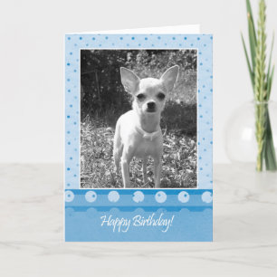 Chihuahua Chig joyeuse carte de voeux d'anniversai