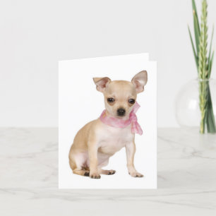 Chihuahua Chiot Blank Note ou carte de voeux
