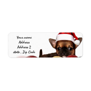 Chihuahua chippy étiquette de adresse de Noël