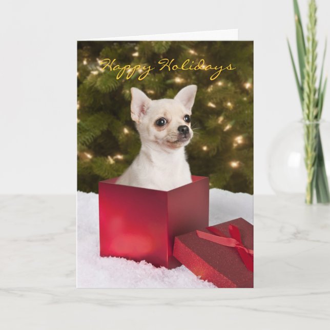 Chihuahua Christmas card (Front)