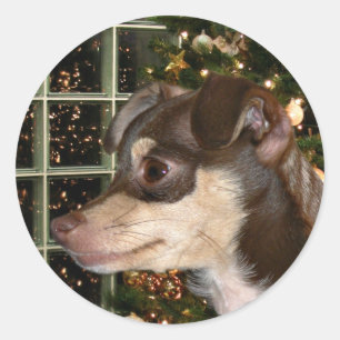 Chihuahua Christmas Classic Round Sticker