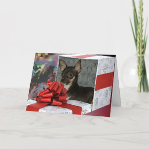 Chihuahua Christmas Greeting Card