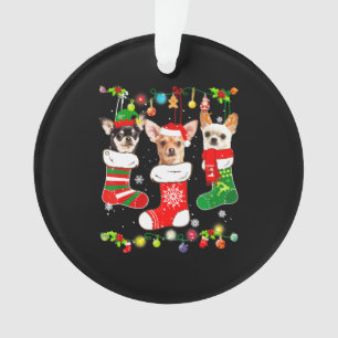 Chihuahua Christmas Lights