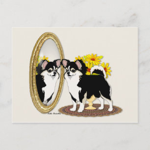 Chihuahua Dans Une Carte Postale Miroir