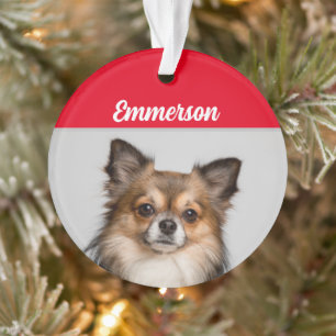 Chihuahua de long Haired avec nom et orna photo