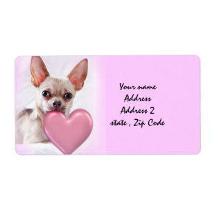 Chihuahua de Saint Valentin expédiant des étiquett