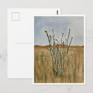 Chihuahua Desert Ocotillo Postcard