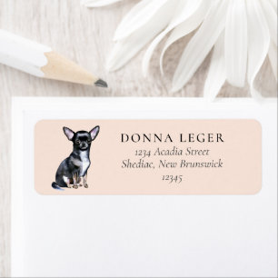 Chihuahua Dog Address