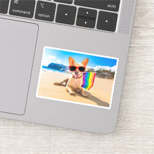 Chihuahua Dog  at the Beach