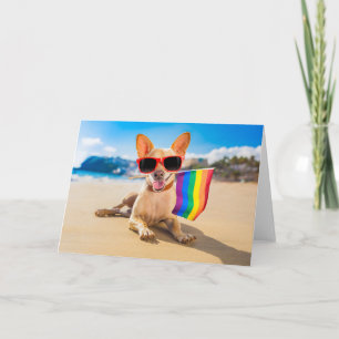 Chihuahua Dog  at the Beach Card